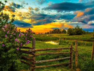 Положение о гражданстве от 1 марта 2024 года